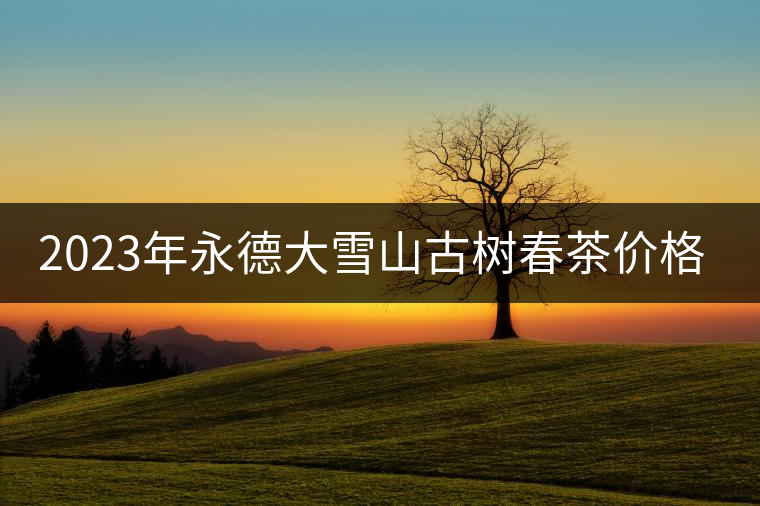 2023年永德大雪山古樹春茶價格是多少？