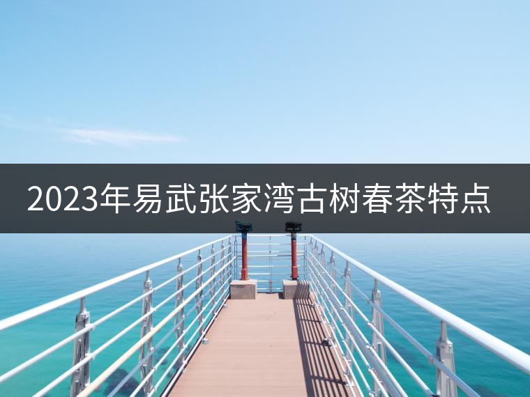 2023年易武張家灣古樹春茶特點(diǎn)是什么？