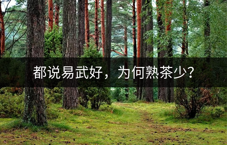 都說(shuō)易武好，為何熟茶少？