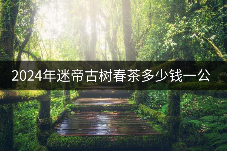 2024年迷帝古樹春茶多少錢一公斤？