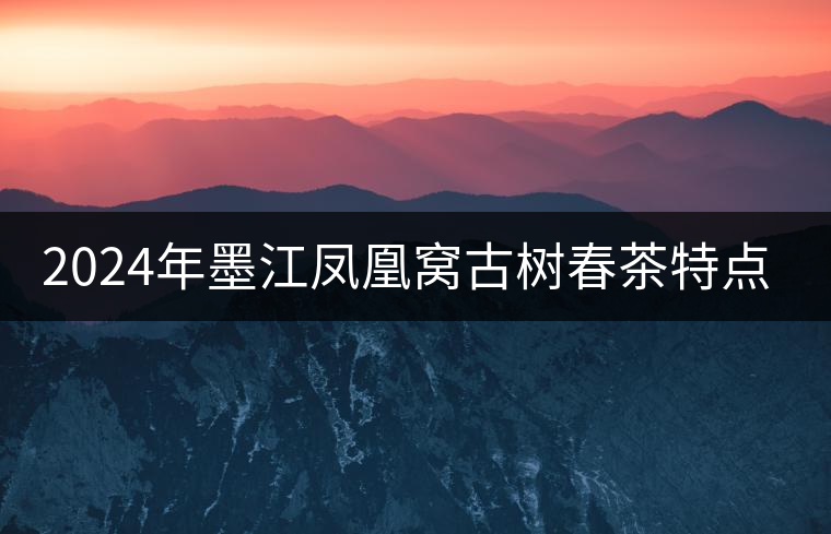 2024年墨江鳳凰窩古樹春茶特點(diǎn)是什么？