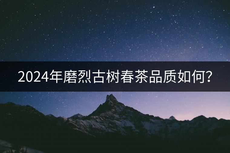 2024年磨烈古樹春茶品質(zhì)如何？