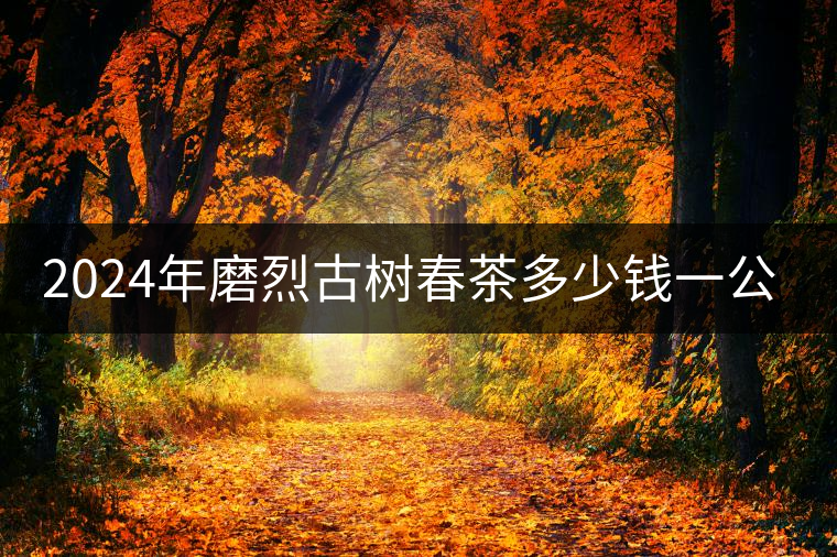2024年磨烈古樹春茶多少錢一公斤？