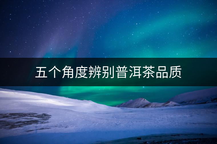 五個(gè)角度辨別普洱茶品質(zhì)