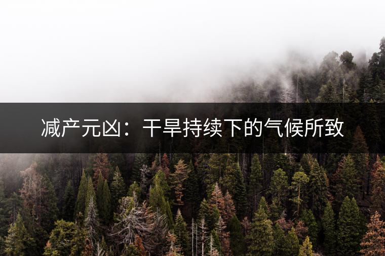 減產(chǎn)元兇：干旱持續(xù)下的氣候所致