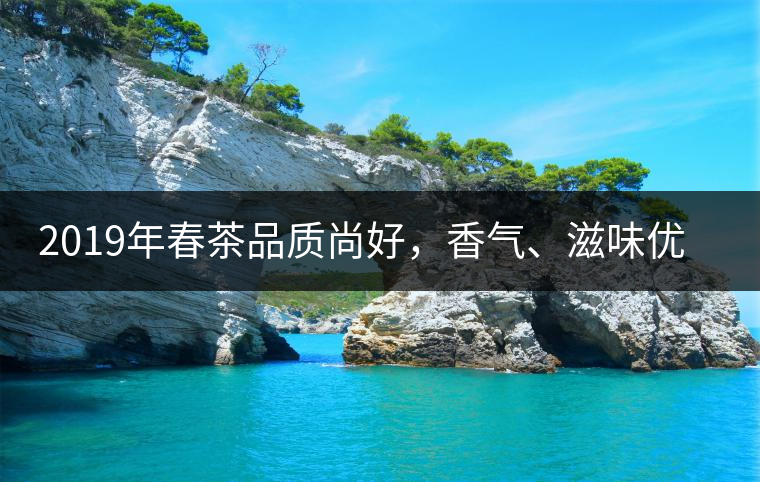 2019年春茶品質(zhì)尚好，香氣、滋味優(yōu)于去年