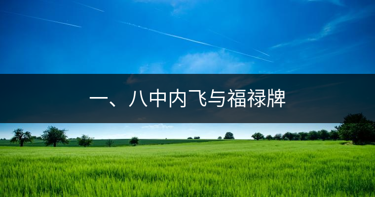 一、八中內(nèi)飛與福祿牌