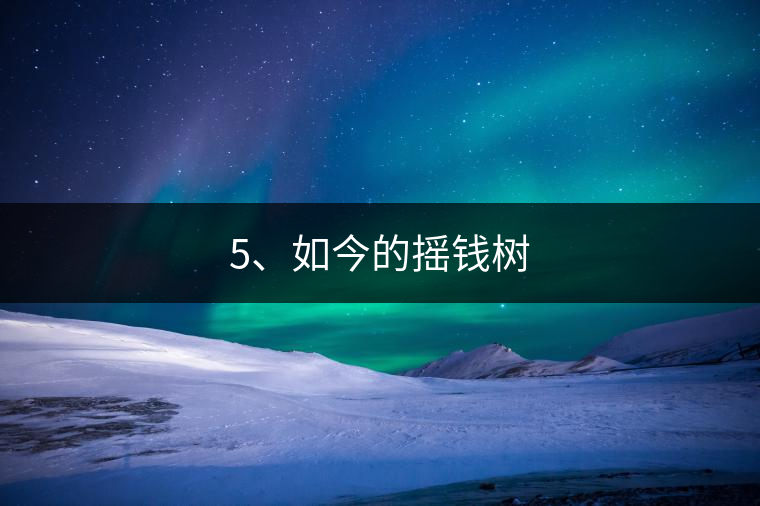 5、如今的搖錢樹