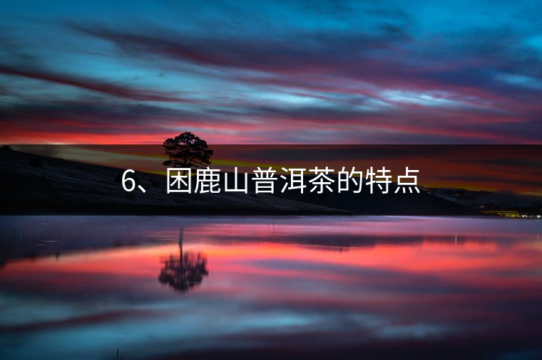 6、困鹿山普洱茶的特點(diǎn)