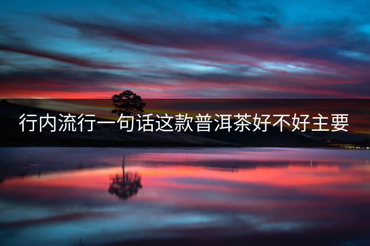 行內流行一句話這款普洱茶好不好主要還看尾水，雖然比較片面但是也有一定道理。