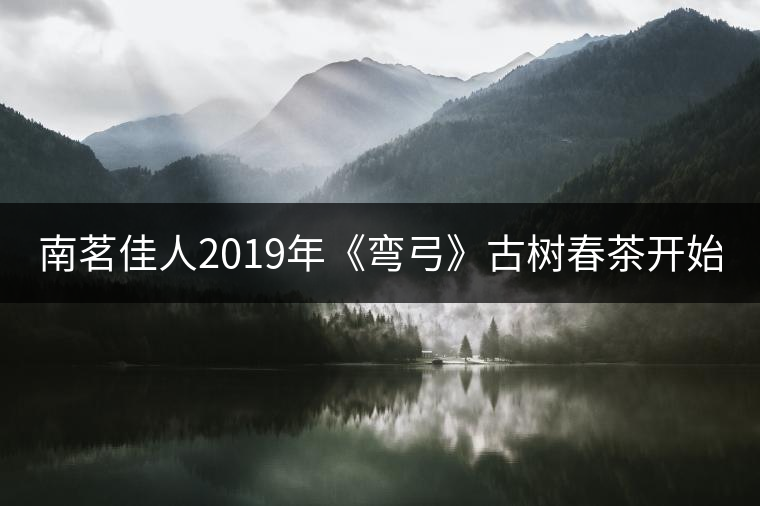 南茗佳人2019年《彎弓》古樹春茶開始預(yù)售啦！