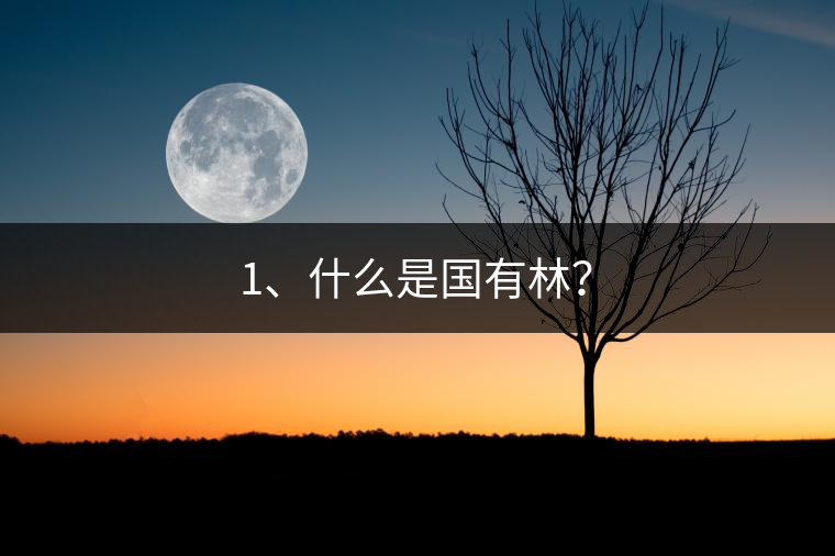 1、什么是國有林？