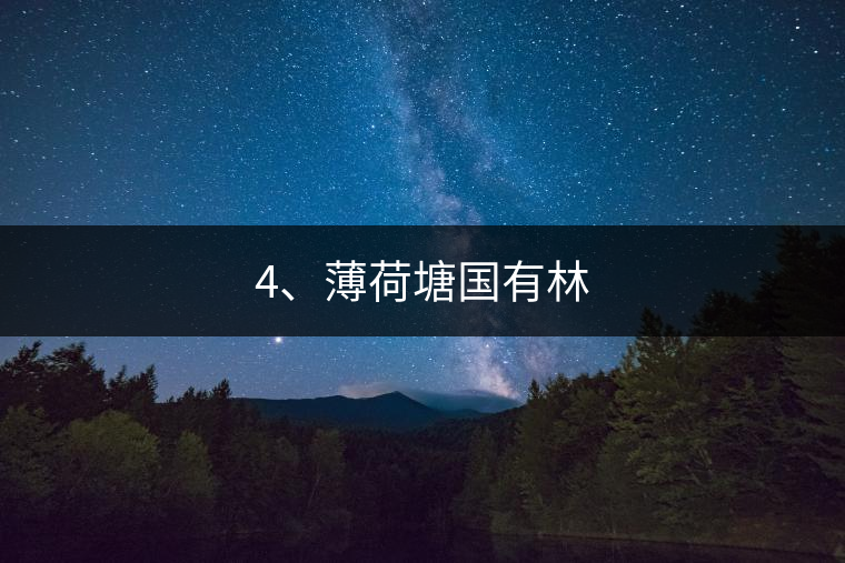 4、薄荷塘國有林