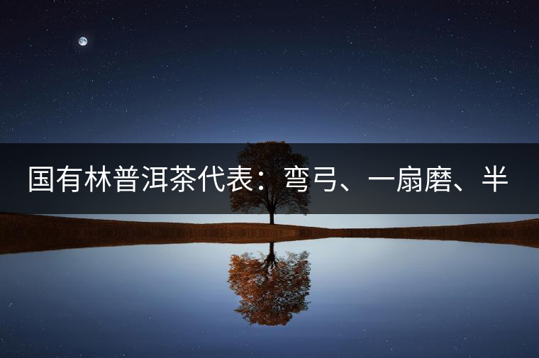 國有林普洱茶代表：彎弓、一扇磨、半坡老寨