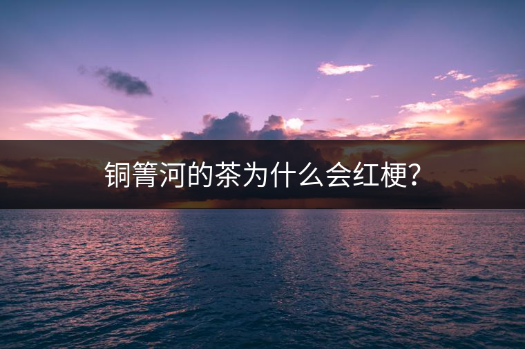 銅箐河的茶為什么會(huì)紅梗？