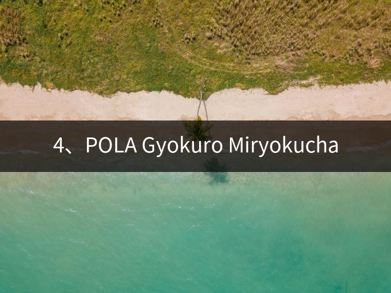 4、POLA Gyokuro Miryokucha