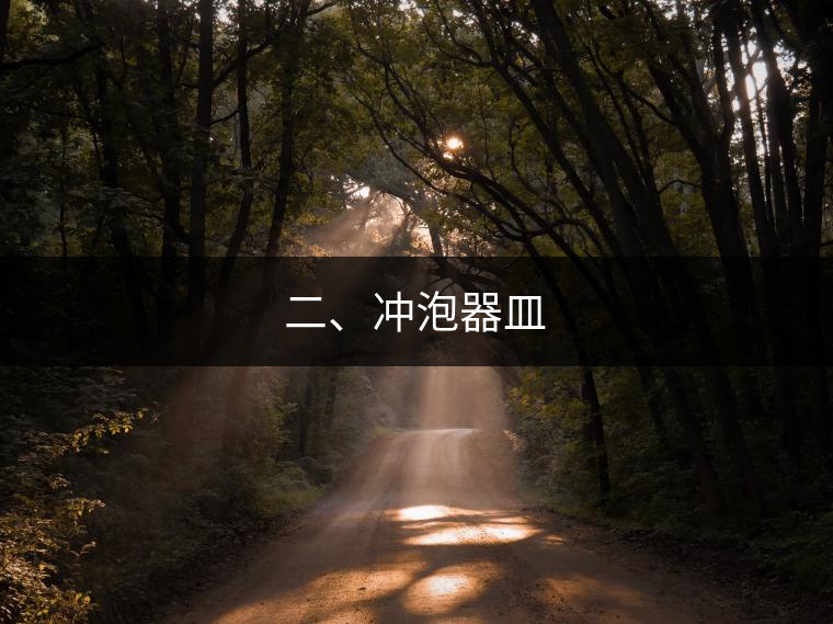 二、沖泡器皿