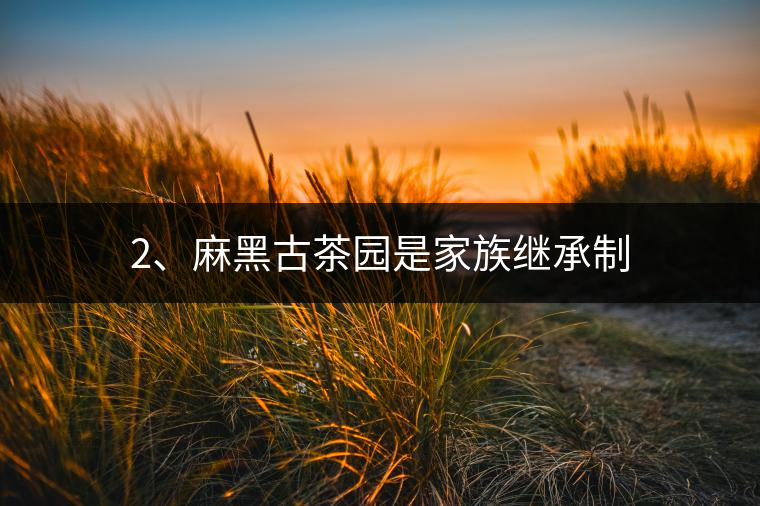 2、麻黑古茶園是家族繼承制