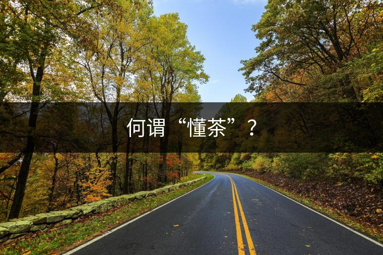 何謂“懂茶”？