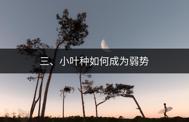 三、小葉種如何成為弱勢