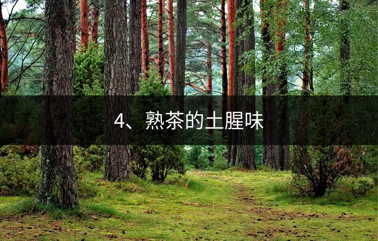 4、熟茶的土腥味