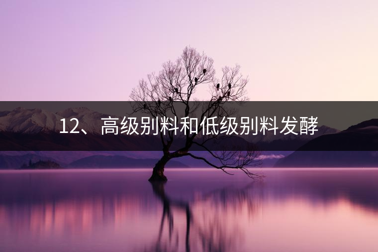 12、高級(jí)別料和低級(jí)別料發(fā)酵