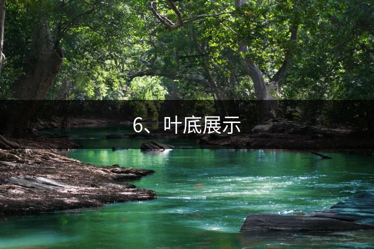 6、葉底展示