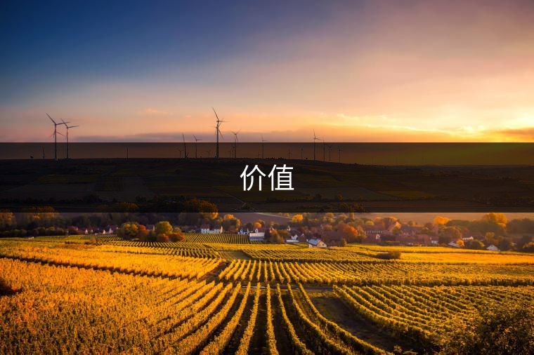價值