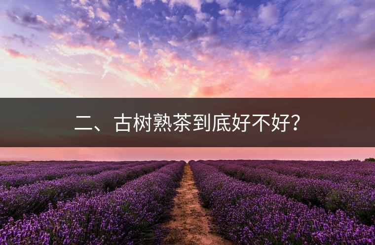 二、古樹熟茶到底好不好？