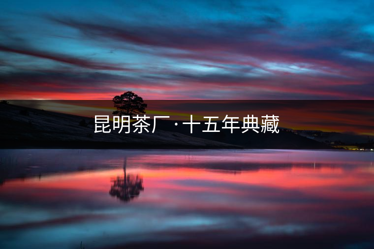 昆明茶廠·十五年典藏