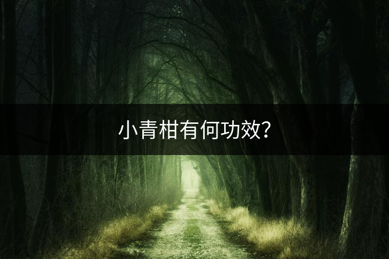 小青柑有何功效？