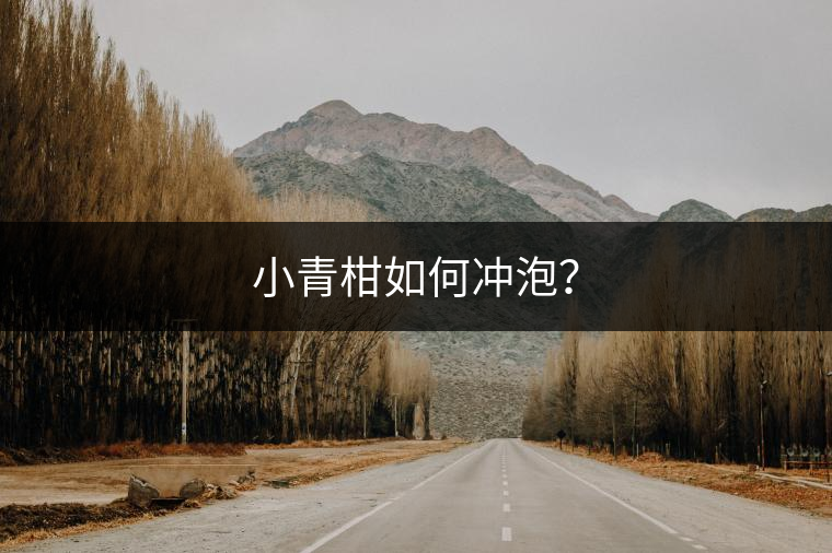 小青柑如何沖泡？