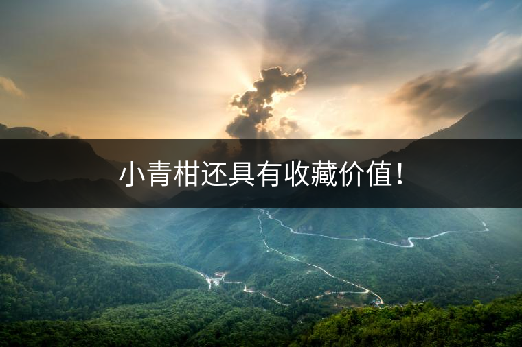 小青柑還具有收藏價(jià)值！