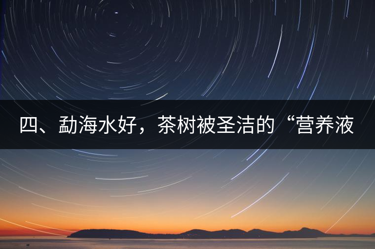 四、勐海水好，茶樹(shù)被圣潔的“營(yíng)養(yǎng)液”所滋養(yǎng)