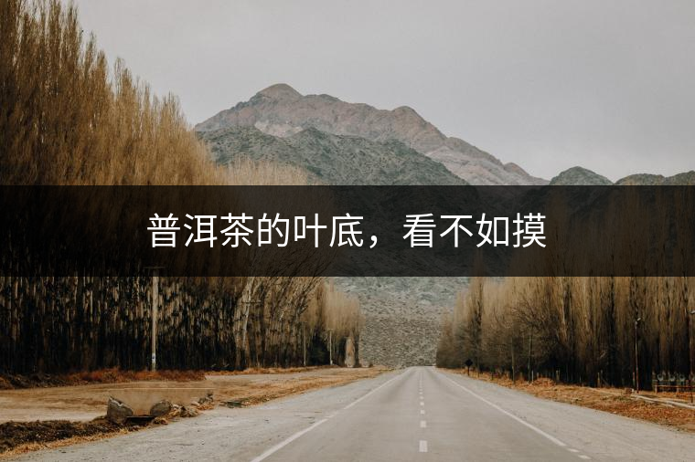 普洱茶的葉底，看不如摸