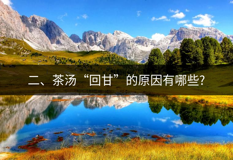 二、茶湯“回甘”的原因有哪些?