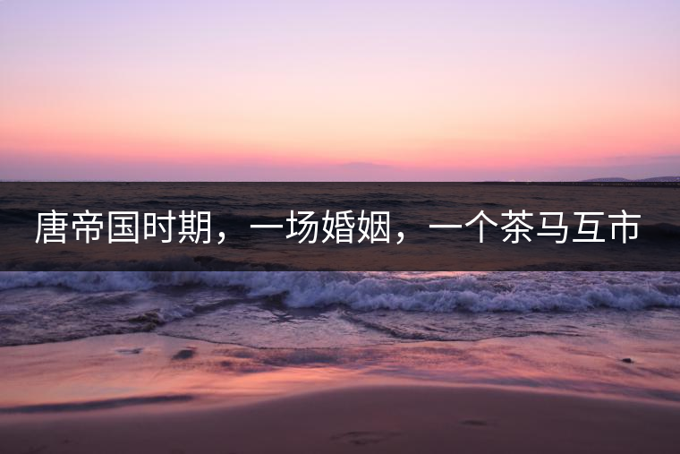 唐帝國(guó)時(shí)期，一場(chǎng)婚姻，一個(gè)茶馬互市，讓這里結(jié)束了漢藏對(duì)峙。宋代南茶北，西北茶馬司設(shè)立，因茶而改變的生活日益凸顯。元代八思巴與忽必烈在這一區(qū)域結(jié)盟，為蒙藏兩大民族交往鋪好通衢大道，明代俺答汗與達(dá)賴在山海之間追思各自先人，青海人宗喀巴創(chuàng)建的黃教通過(guò)蒙、藏兩大領(lǐng)袖的推廣，締造了影響至今的格局。大清經(jīng)過(guò)康、雍、乾三代勵(lì)精圖治，滿、藏、蒙各自龐大的疆域第一次完整地統(tǒng)轄在中央帝國(guó)的版圖下。