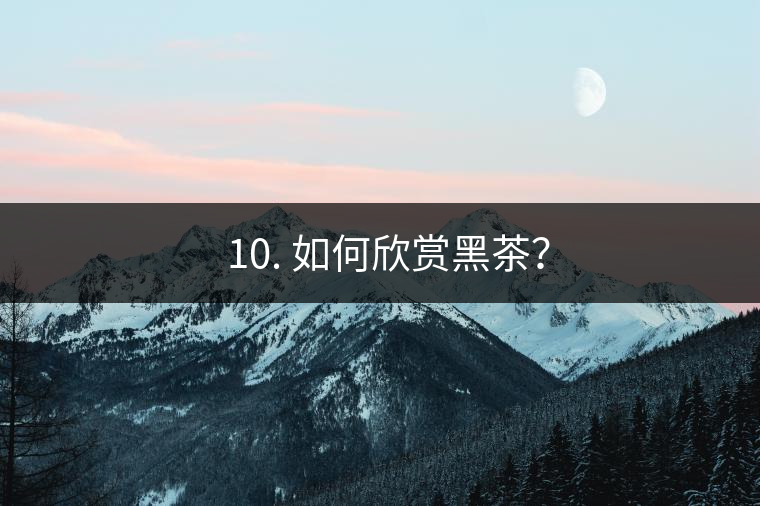 ? 10. 如何欣賞黑茶？