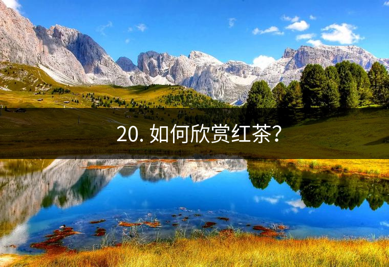? 20. 如何欣賞紅茶？