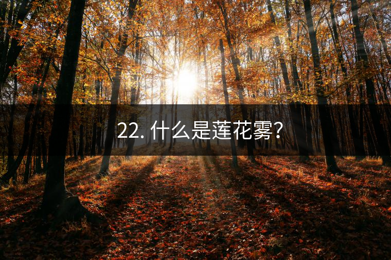 ? 22. 什么是蓮花霧？