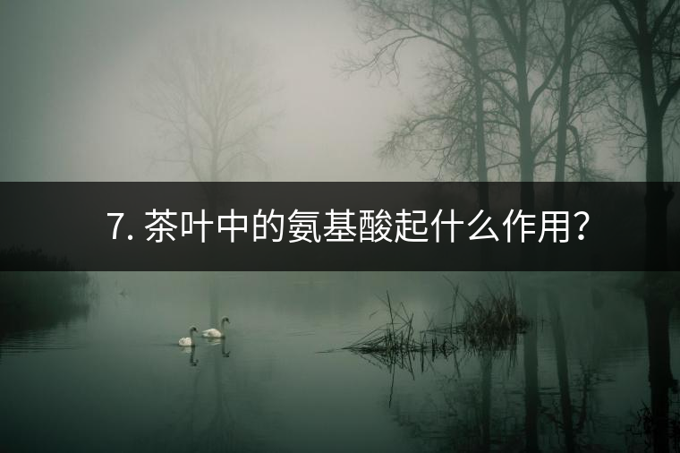 ? 7. 茶葉中的氨基酸起什么作用？