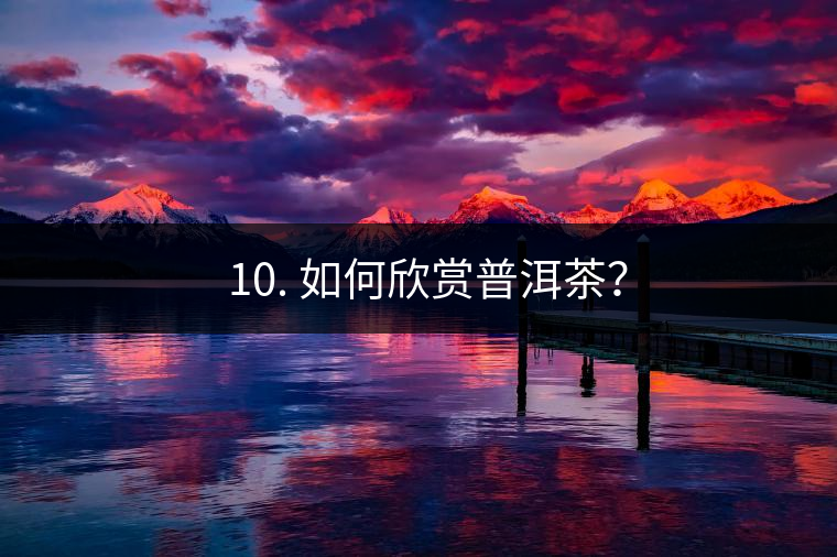 ? 10. 如何欣賞普洱茶？