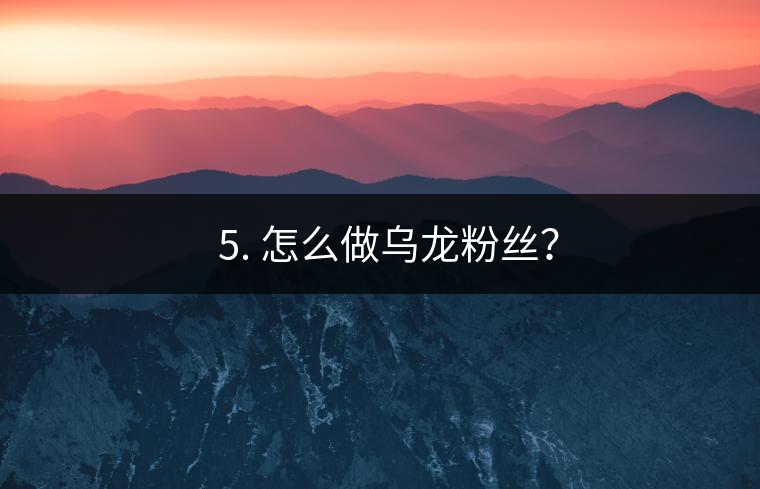 ? 5. 怎么做烏龍粉絲？