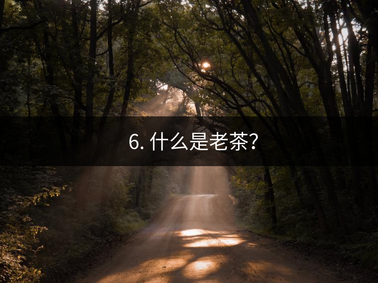 ? 6. 什么是老茶？