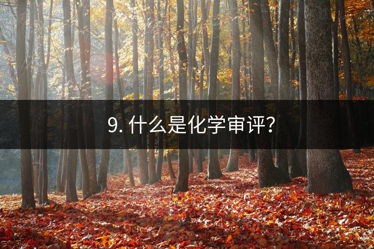 ? 9. 什么是化學審評？