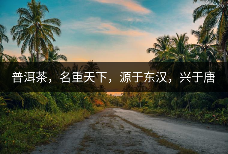 普洱茶，名重天下，源于東漢，興于唐宋，盛于明清。