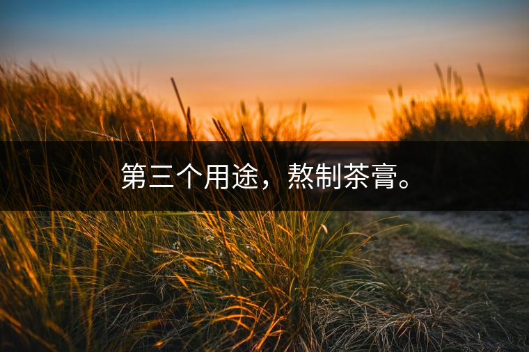第三個用途，熬制茶膏。