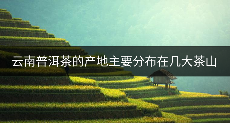 云南普洱茶的產(chǎn)地主要分布在幾大茶山，普洱茶古茶山以瀾滄江為界劃分為