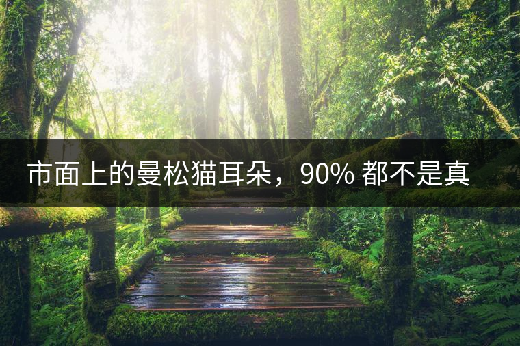 市面上的曼松貓耳朵，90% 都不是真的