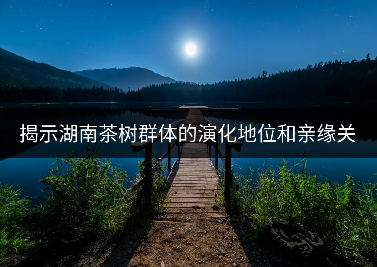 揭示湖南茶樹群體的演化地位和親緣關(guān)系 揭示湖南茶樹群體的演化地位和親緣關(guān)系